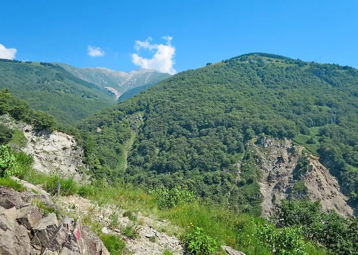 Robinia By Interhome